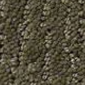 Brown Carpet Flooring - Floor Coverings International North Fort Worth