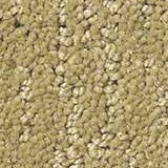 Gold Carpet Flooring - Floor Coverings International North Fort Worth