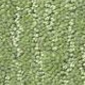 Green Carpet Flooring - Floor Coverings International North Fort Worth